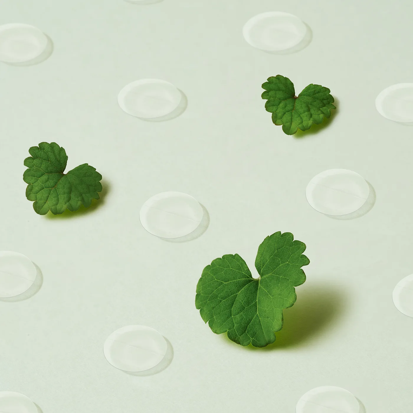 Wonder Releaf Centella Spot Patch product view