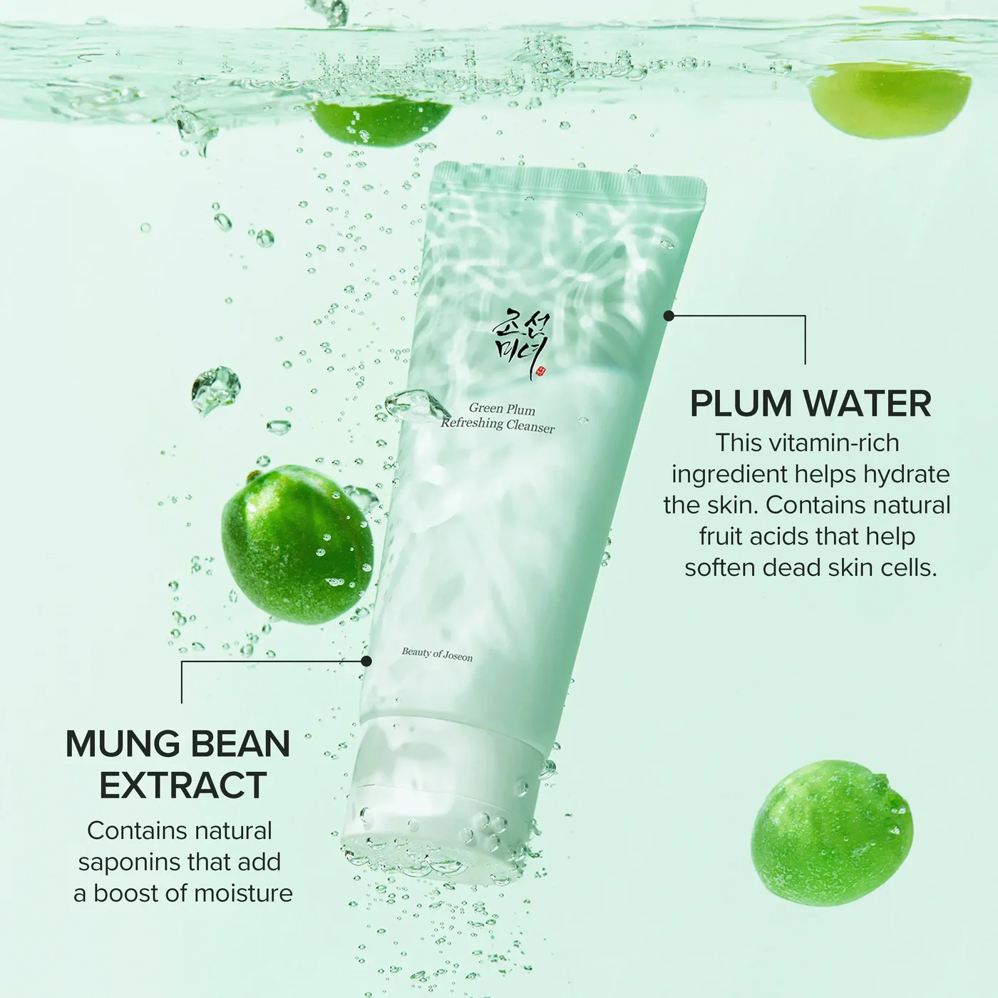 Green Plum Refreshing Cleanser product view